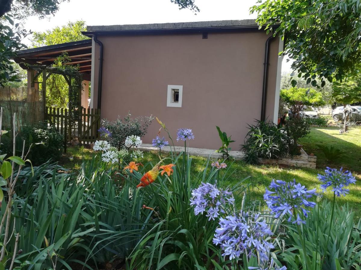 Apartman "Almond House 2" Pula Exteriör bild